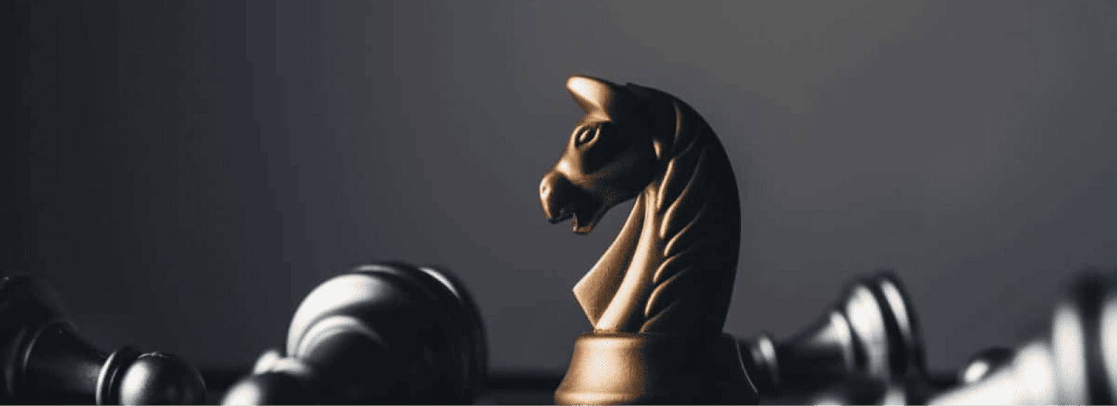 chess-horse-image